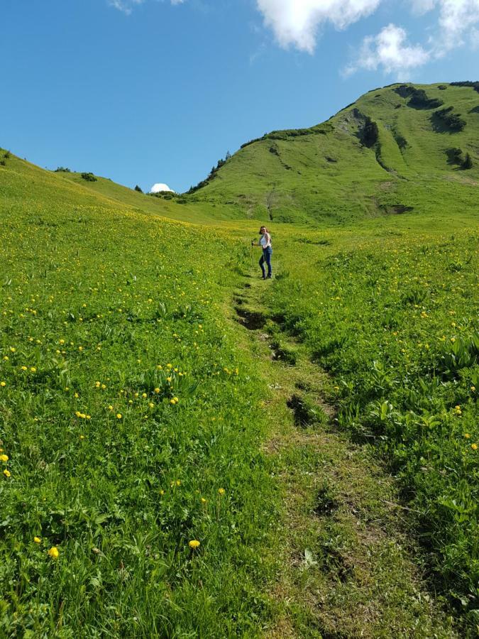 Residenz Tirol Apartment Lechleiten ภายนอก รูปภาพ